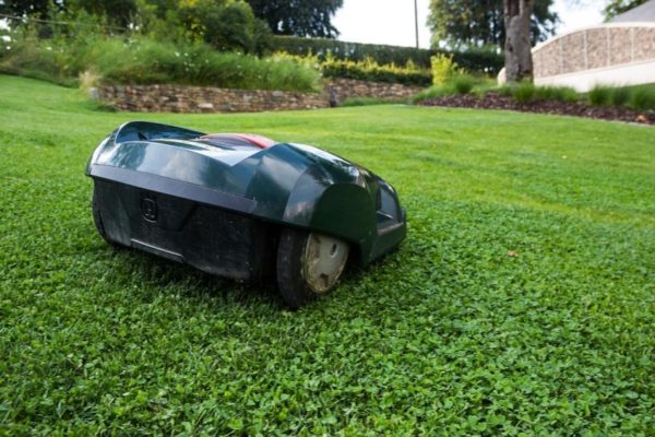Mäh-Roboter bei der Rasenpflege