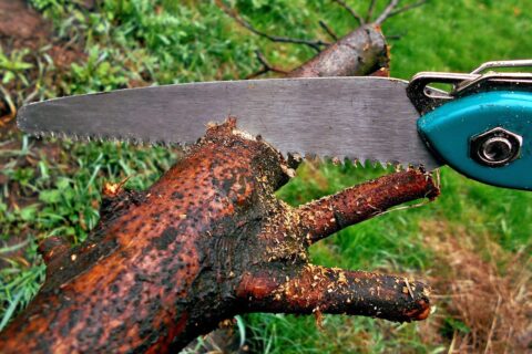 Handsäge als eine der Gartensägen